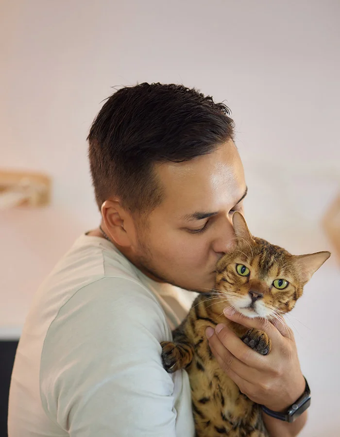 bengal-owner-cuddles