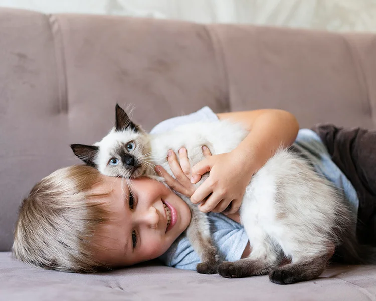 A young boy lays on a couch and cuddles with his cat