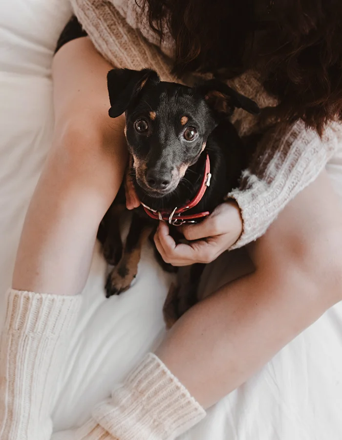 little-dog-with-woman-cozy A little black dog looks up while sitting between its owner's legs