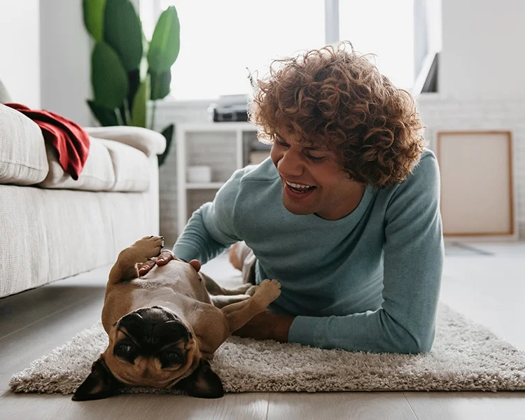 A young man and his dog play on a rug in the living room