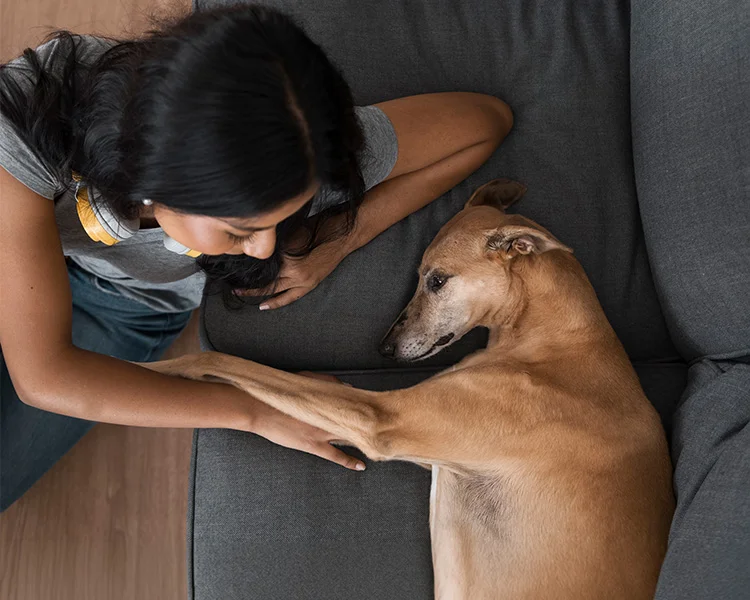A woman sits near a couch that her elderly dog rests on