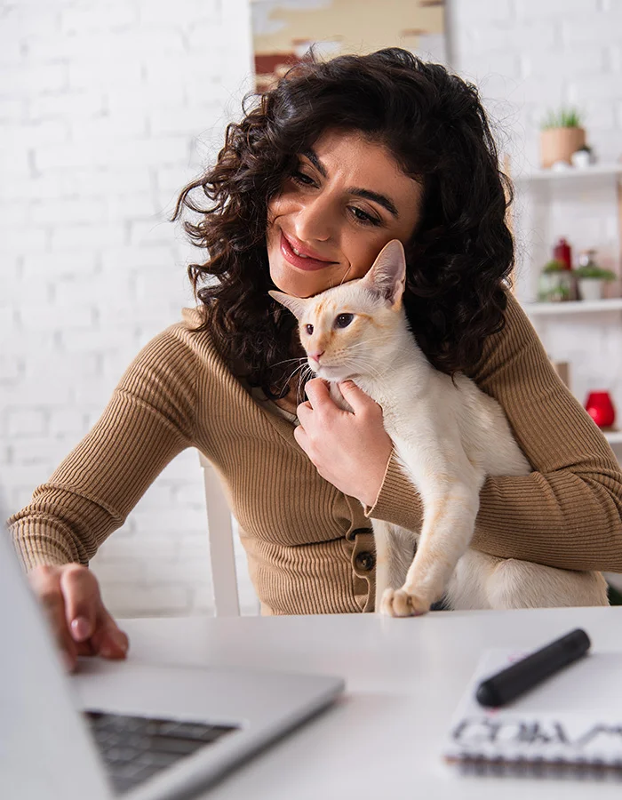 white-cat-held-by-woman-on-computer A woman cuddles her cat while she works at her computer at home