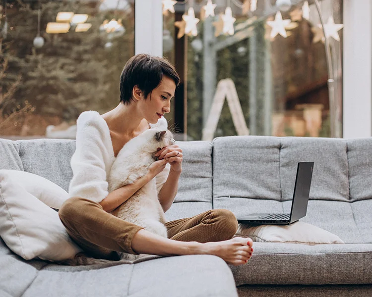A woman sitting on a couch with her white cat looking at a laptop