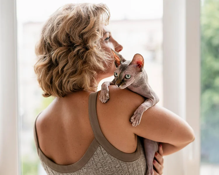 A woman holds her sphynx cat over her shoulder